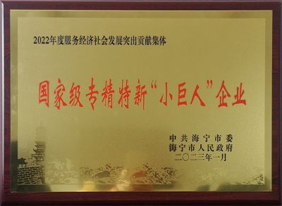 國家級專精特新小巨人企業